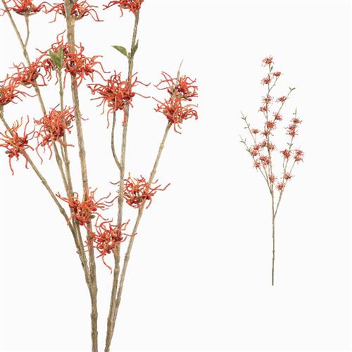 Branch Witch Hazel orange/red 125cm