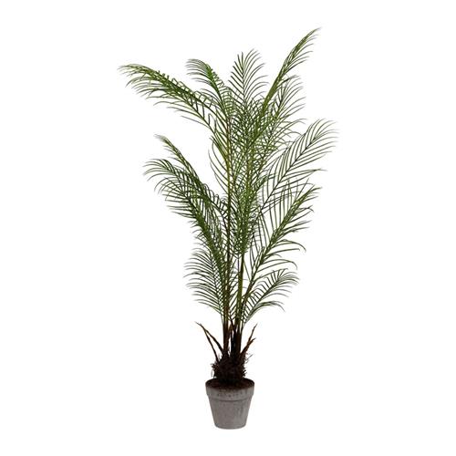 Côté Table Plant Palmvaren