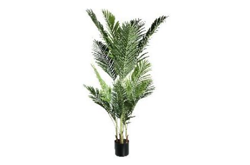 PALM TREE H160