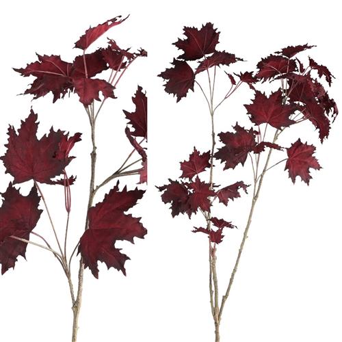AUTUMN BRANCHES WITH LEAF BORDEAUX L:135