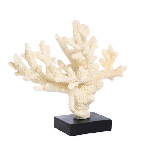 Coral white on pedestal 32.5cm