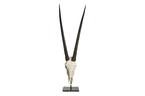 Puylaert Oryx on stand