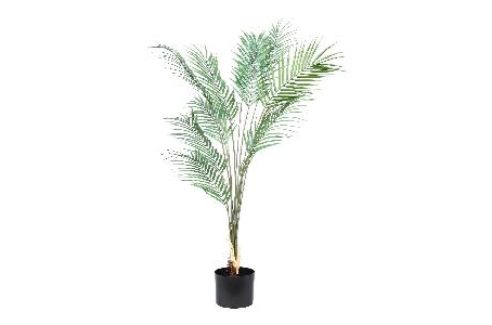 PALM TREE SMALL