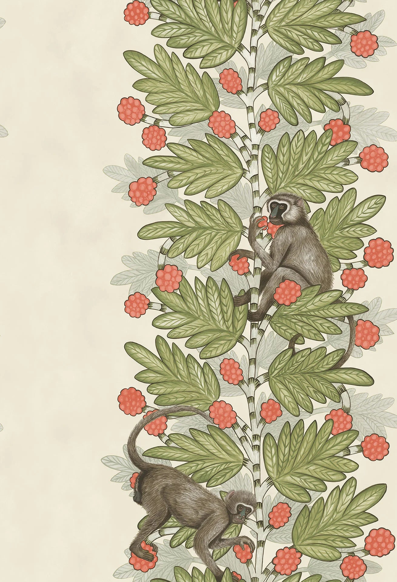 Cole & Son Ardmore Acacia, Olive & Coral on Parchment