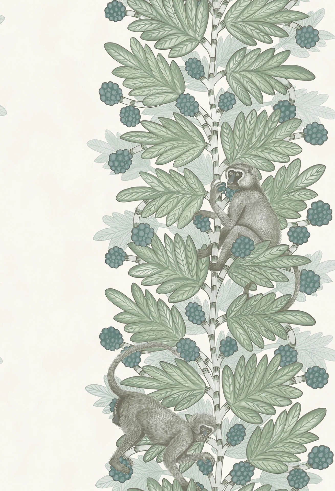 Cole & Son Ardmore Acacia, Duck Egg & Print room Blue on White