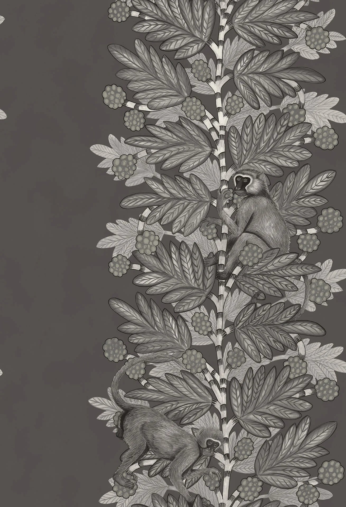 Cole & Son Ardmore Acacia, Charcoal & Metallic Silver on Soot