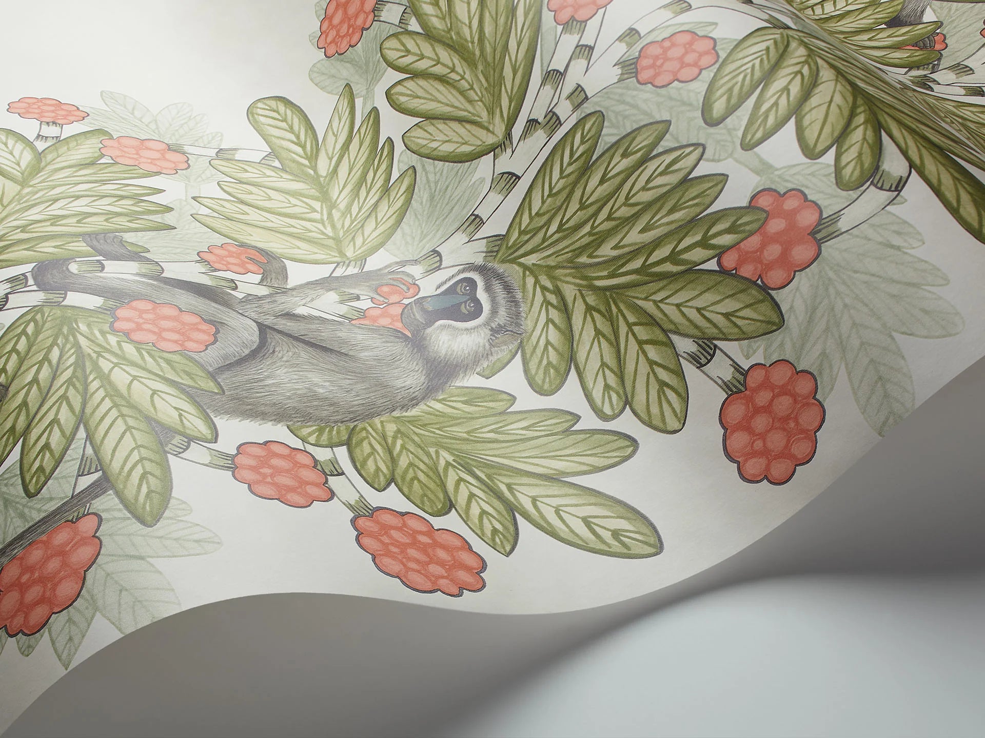 Cole & Son Ardmore Acacia, Olive & Coral on Parchment