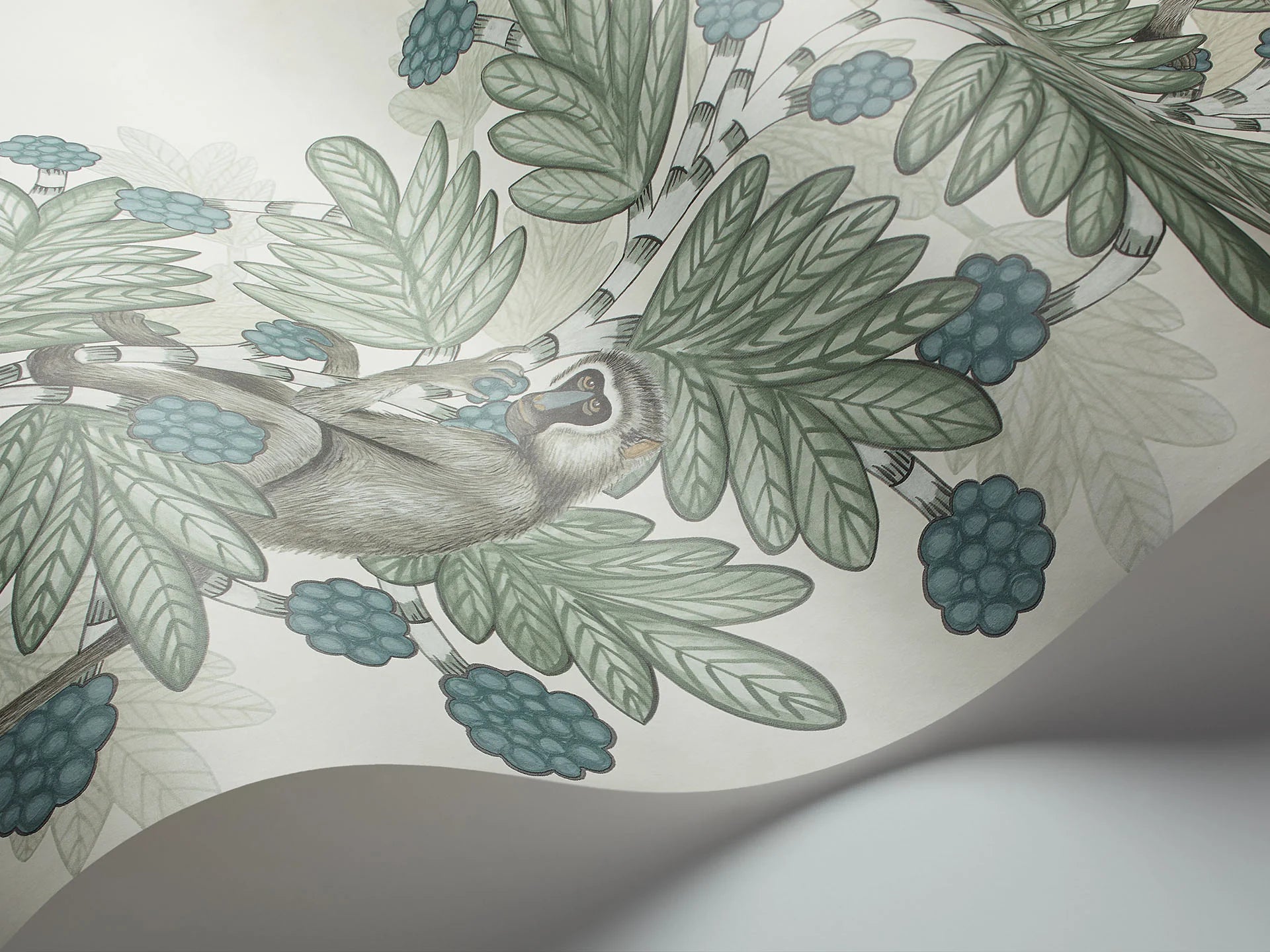 Cole & Son Ardmore Acacia, Duck Egg & Print room Blue on White