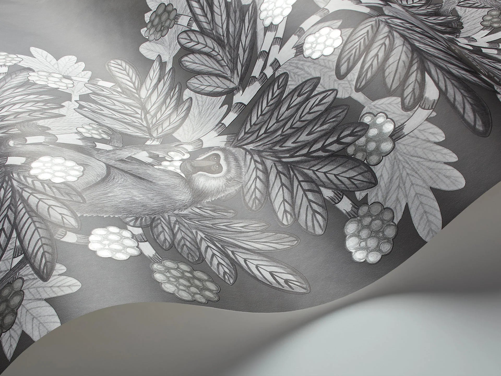 Cole & Son Ardmore Acacia, Charcoal & Metallic Silver on Soot