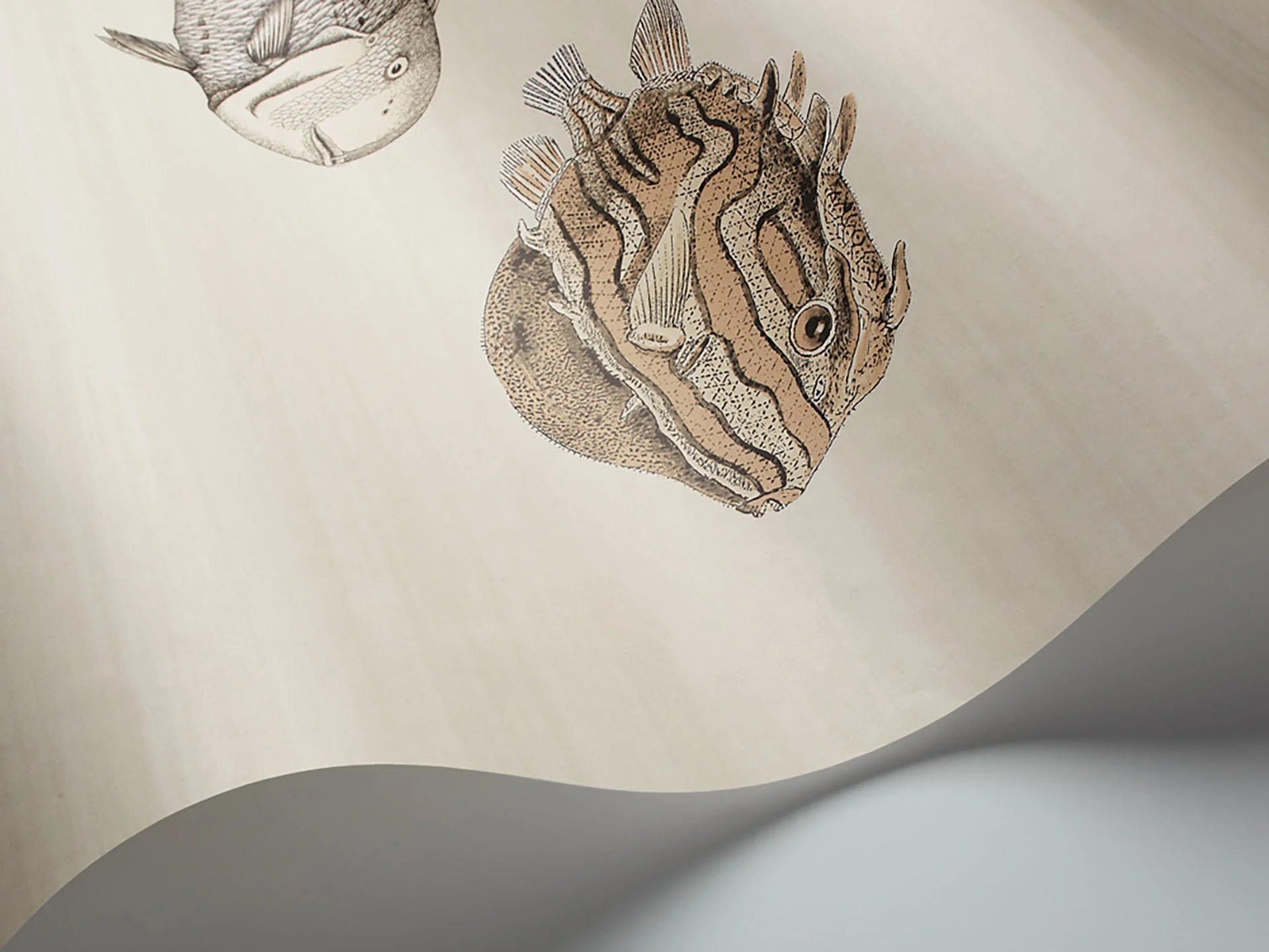 Cole & Son Fornasetti Acquario, Taupe