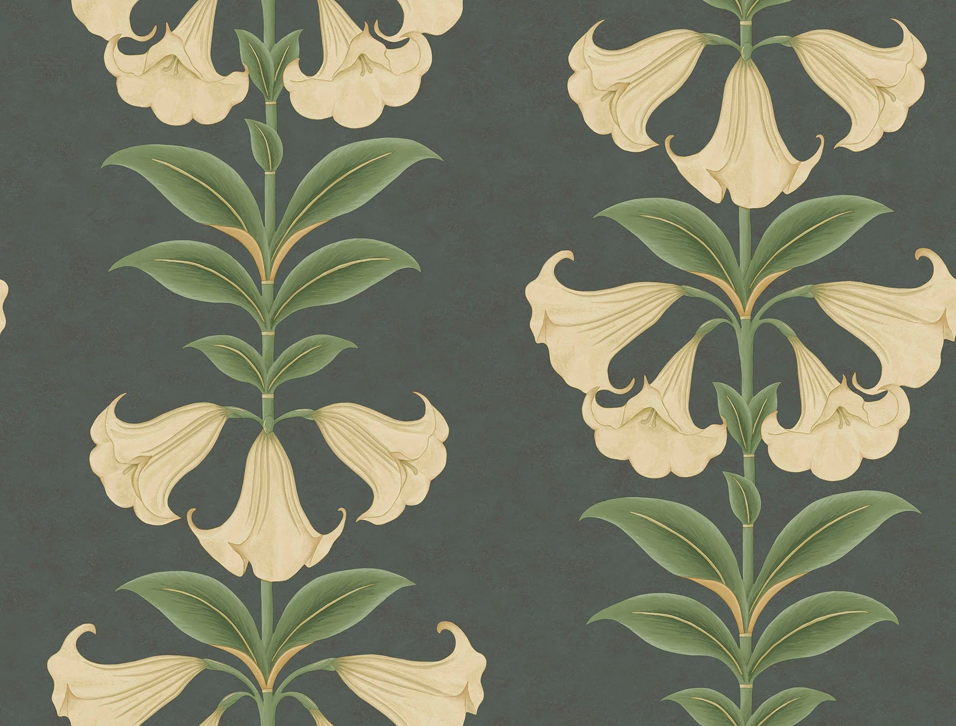 Cole & Son Seville Angel's Trumpet, Cream & Olive Green on Charcoal