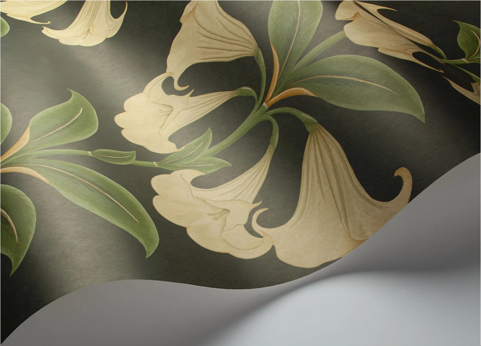 Cole & Son Seville Angel's Trumpet, Cream & Olive Green on Charcoal