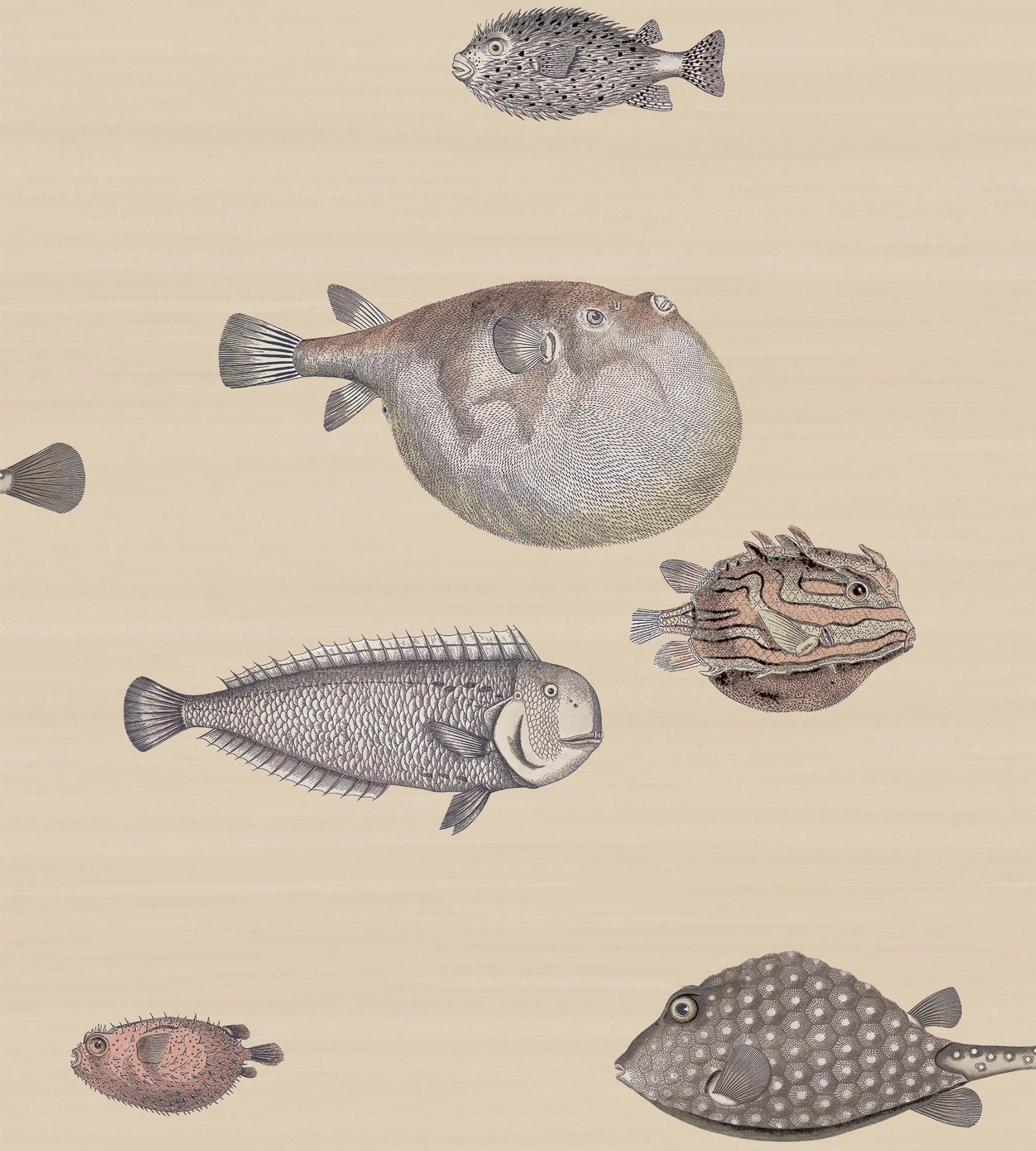 Cole & Son Fornasetti Acquario, Taupe