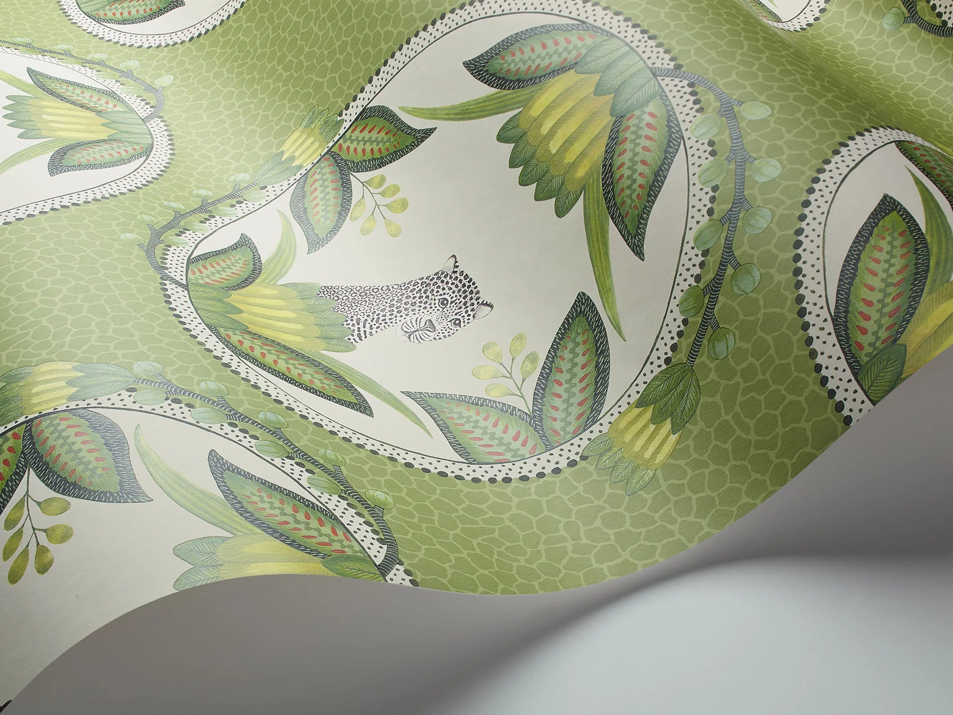 Cole & Son Ardmore Cameos, Olive Green