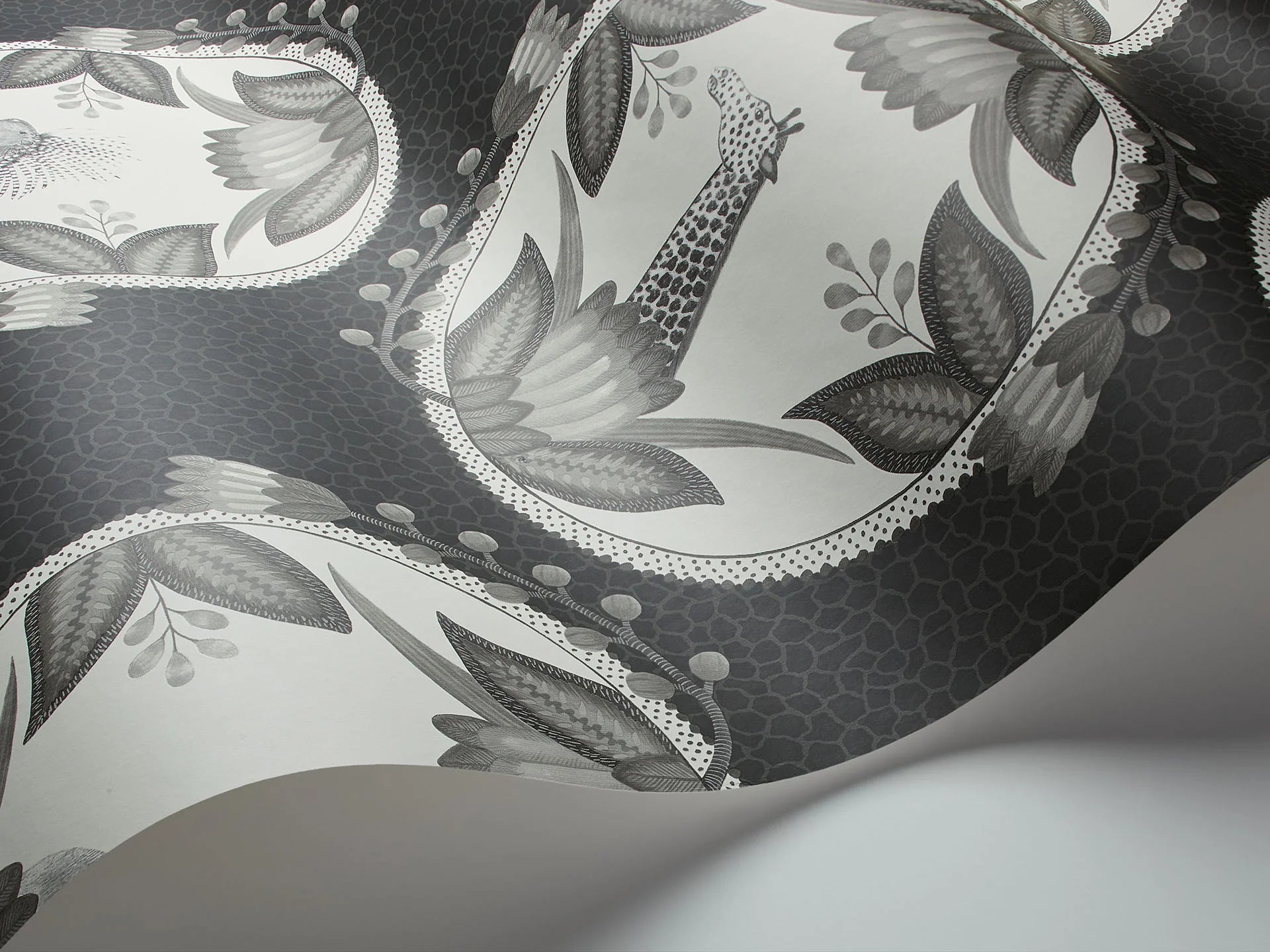 Cole & Son Ardmore Cameos, Soot & Snow