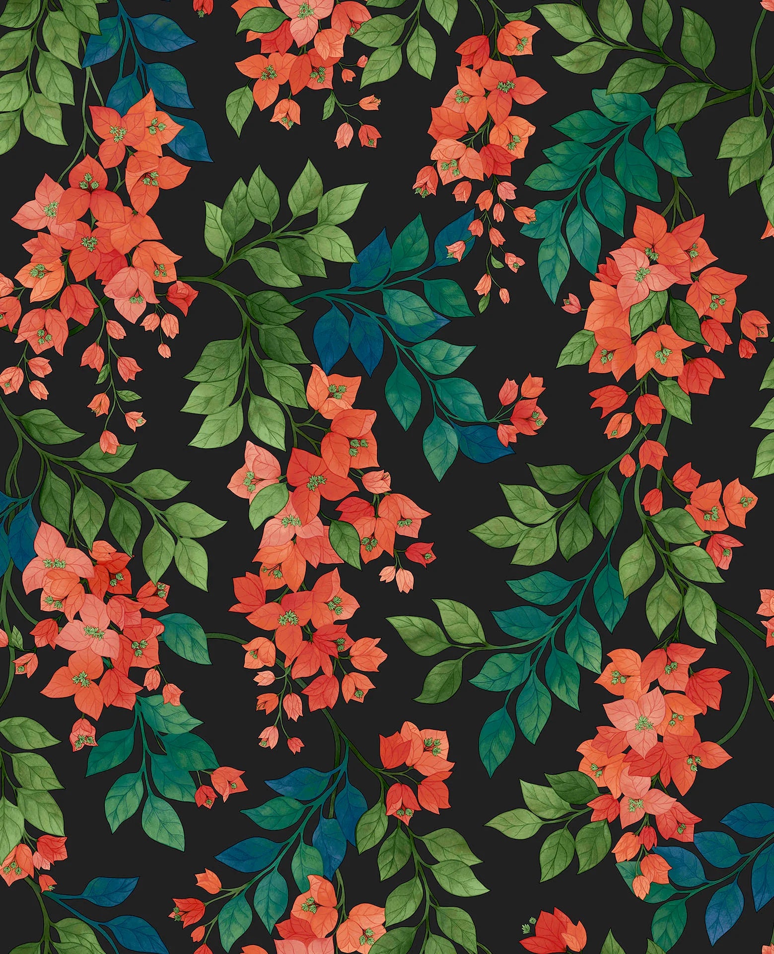 Cole & Son Seville Bougainvillea, Rouge, Leaf Green & Cerulean Sky on Charcoal