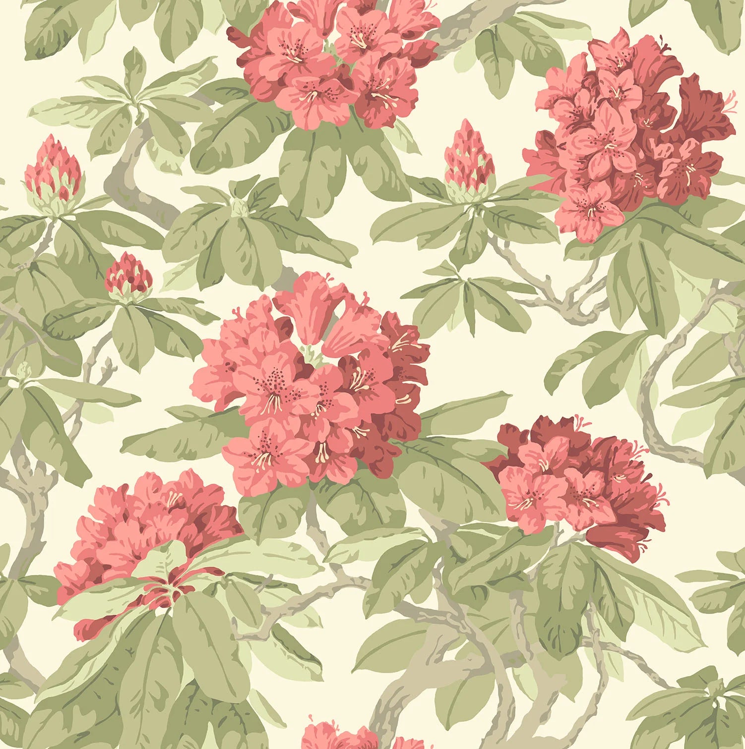 Cole & Son Folie Bourlie, Rose, Olive on White