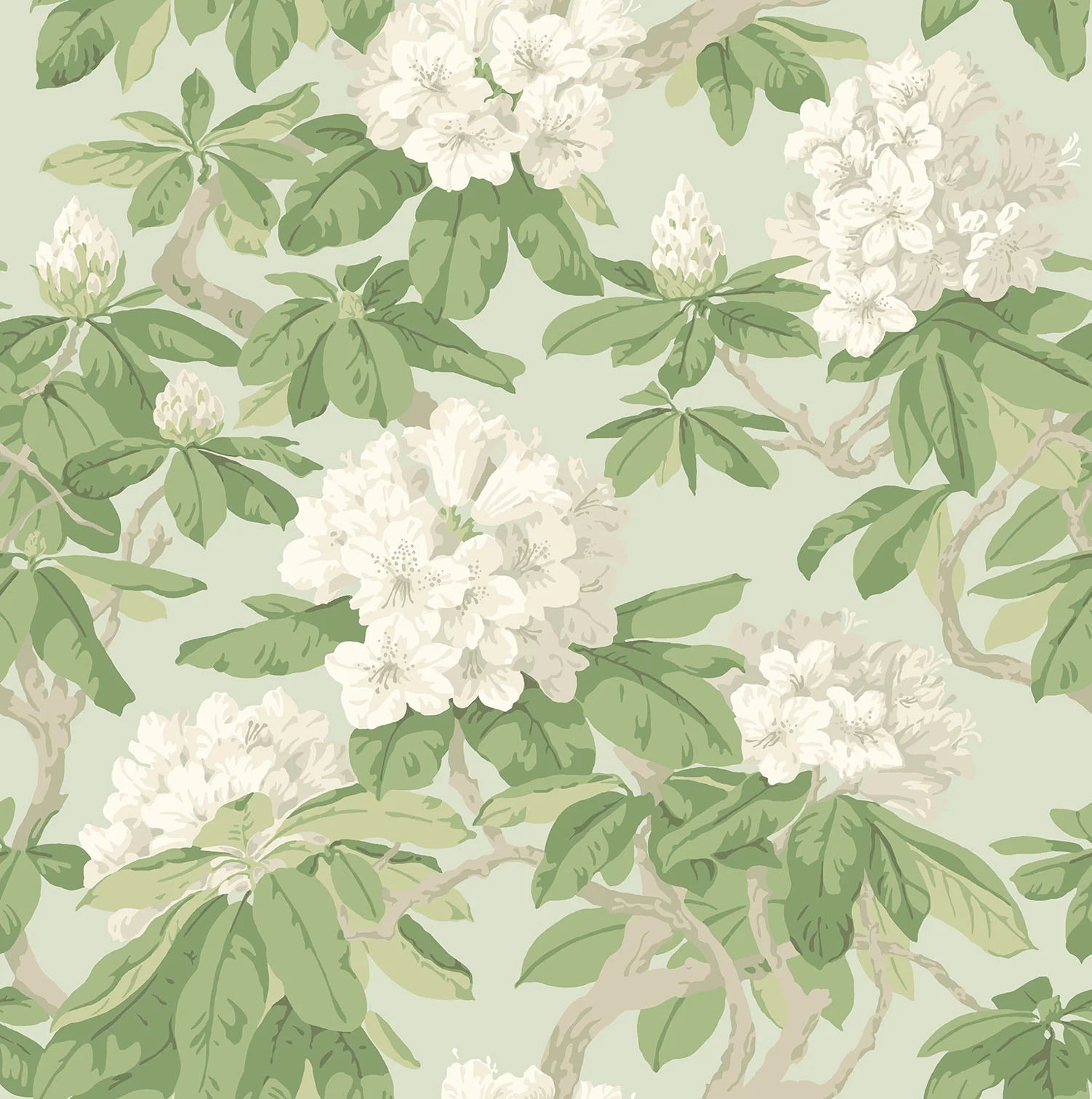 Cole & Son Folie Bourlie, White, Olive Green on Duck Egg