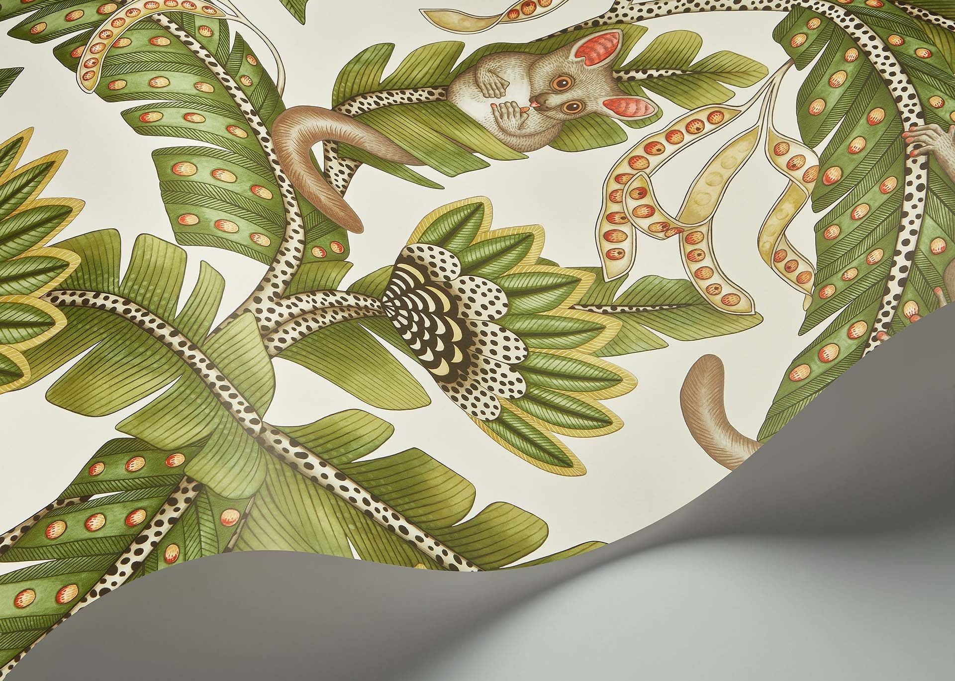 Cole & Son Jabula Bush Baby, Spring Green & Orange on Black