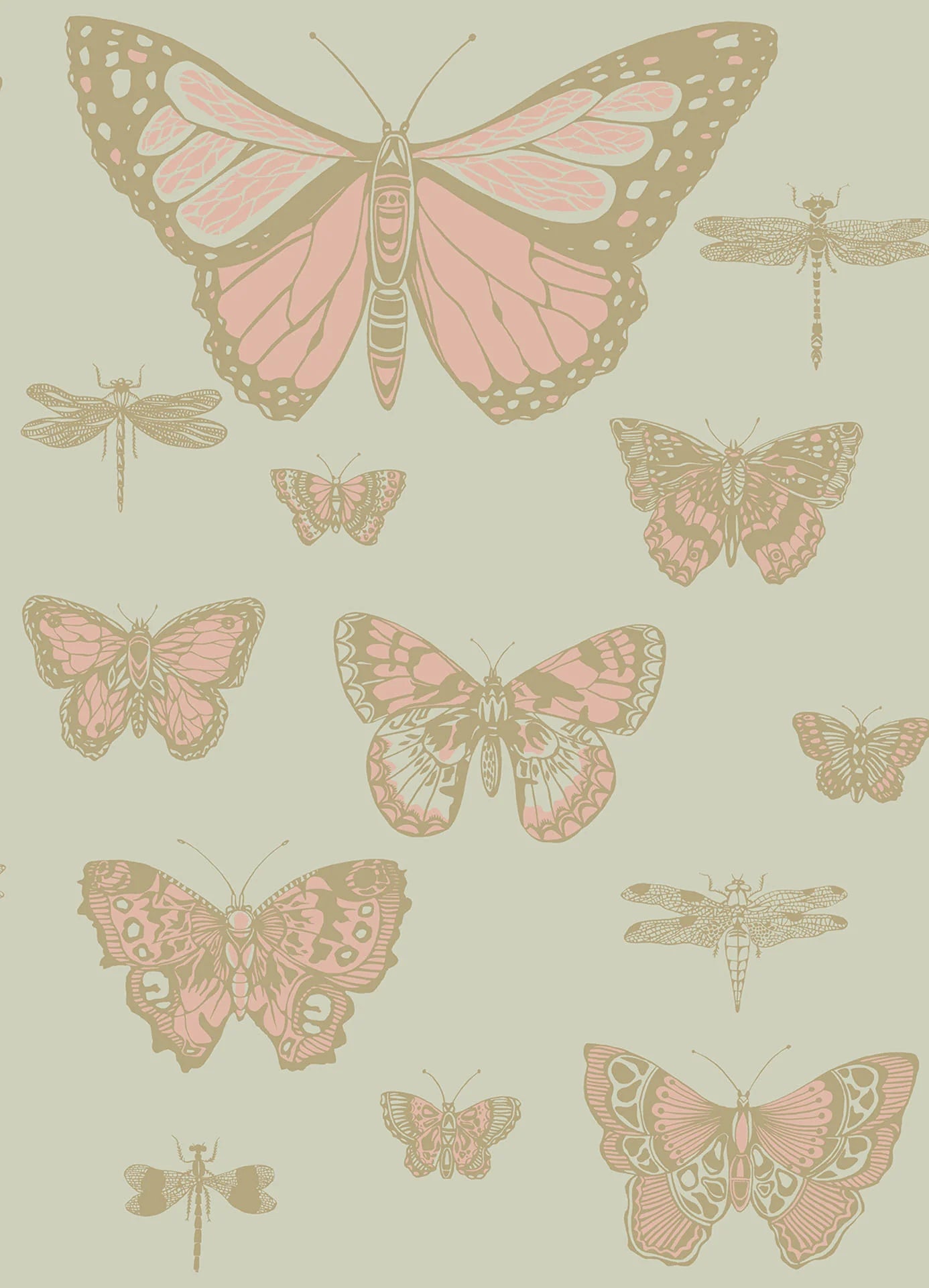 Cole & Son Whimsical Butterflies & Dragonflies, Alabaster & Metallic Gold on Eau Du Nil