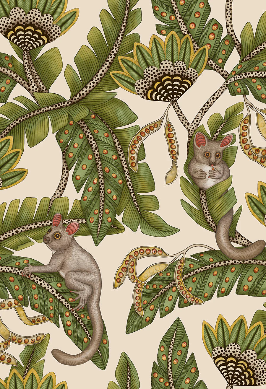 Cole & Son Jabula Bush Baby, Spring Green & Orange on Black