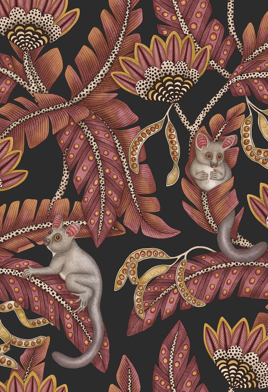 Cole & Son Jabula Bush Baby, Crimson & Marigold on Charcoal