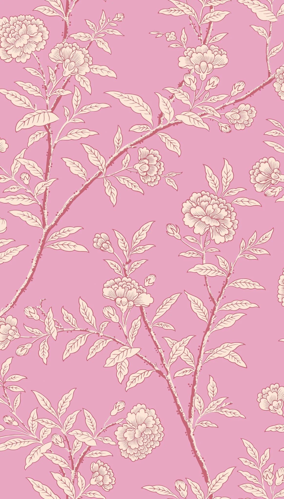Cole & Son, Classics Vol I,Roseberry , Fuchsia