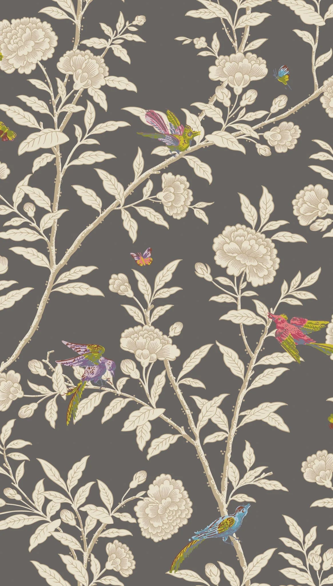 Cole & Son, Classics Vol I,Roseberry with Birds, Soft Charcoal