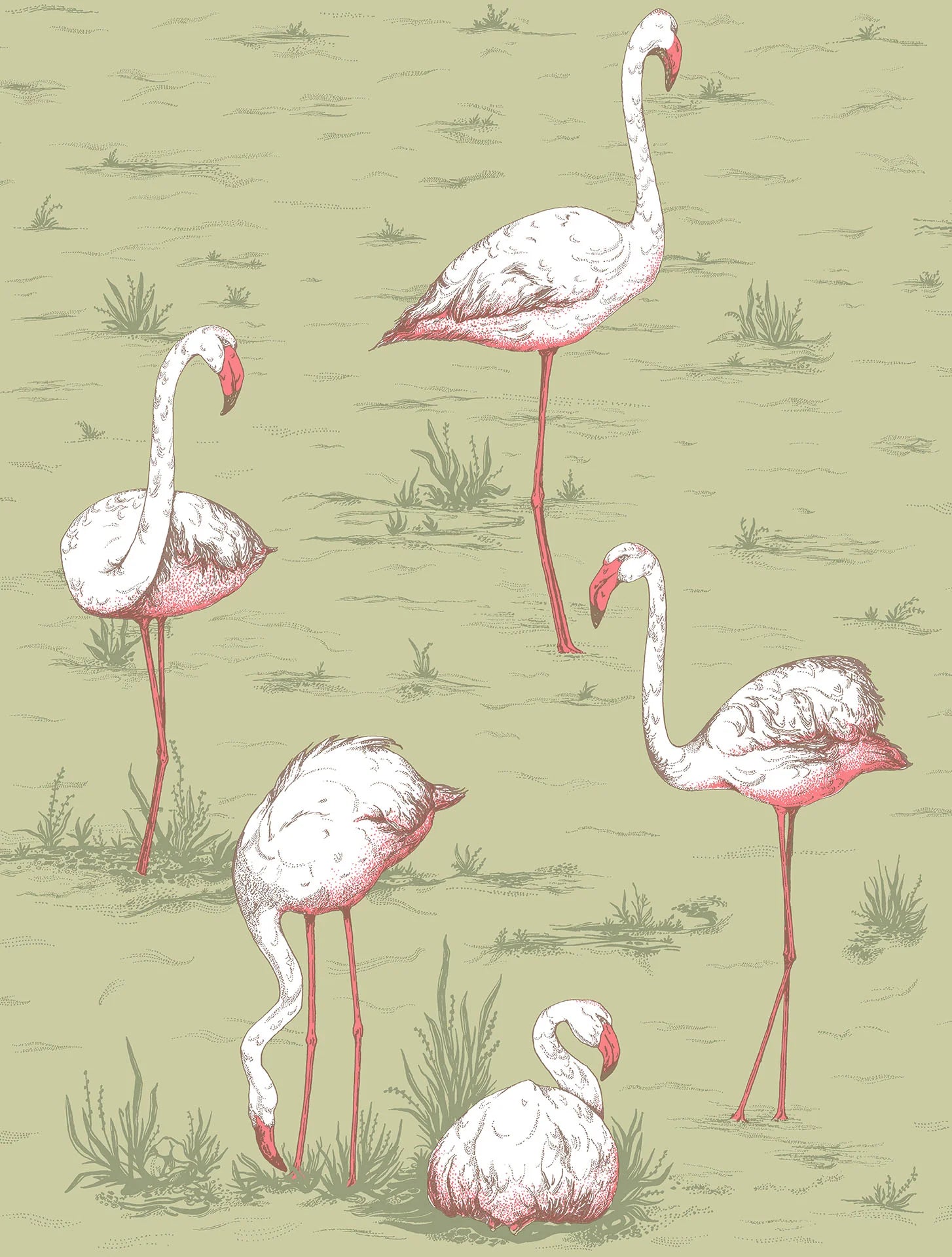 Cole & Son Icons Flamingos, Olive