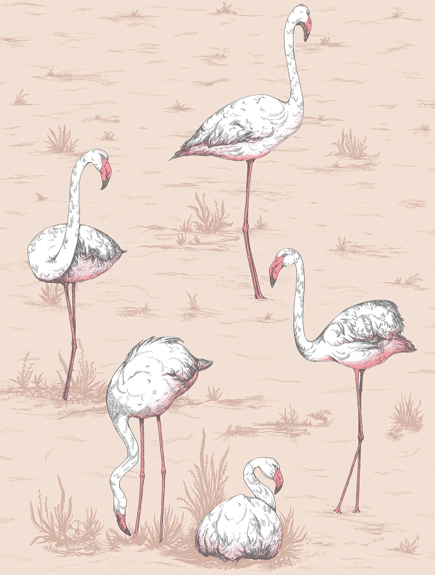 Cole & Son Icons Flamingos, Plaster Pink