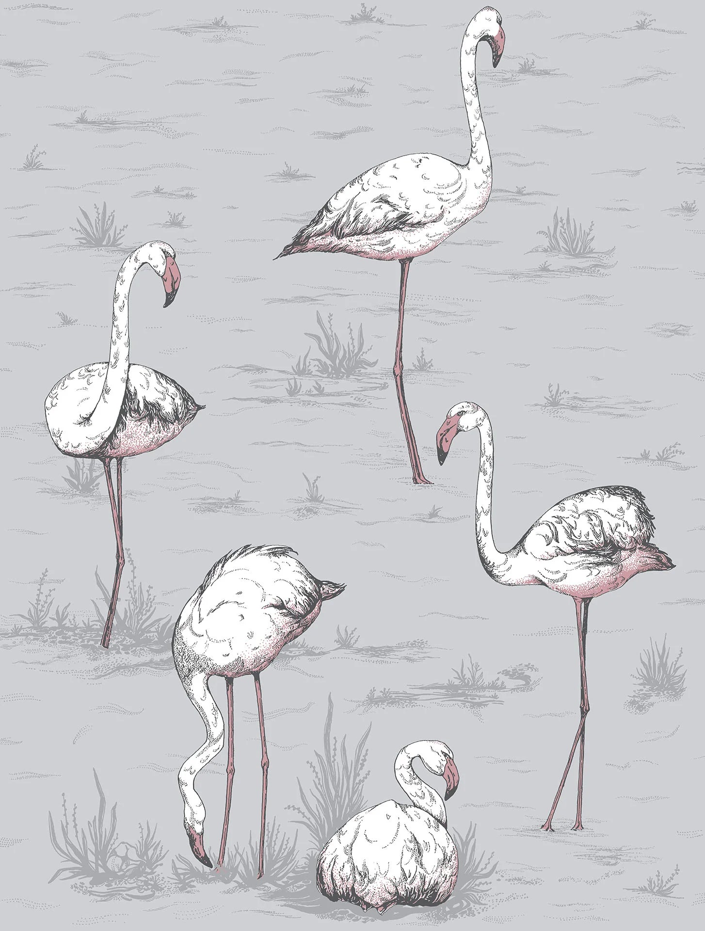 Cole & Son Icons Flamingos, Heath Grey