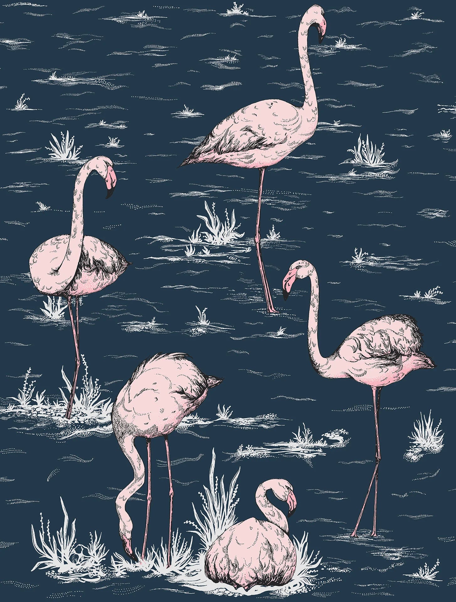 Cole & Son Icons Flamingos, Blush on Midnight
