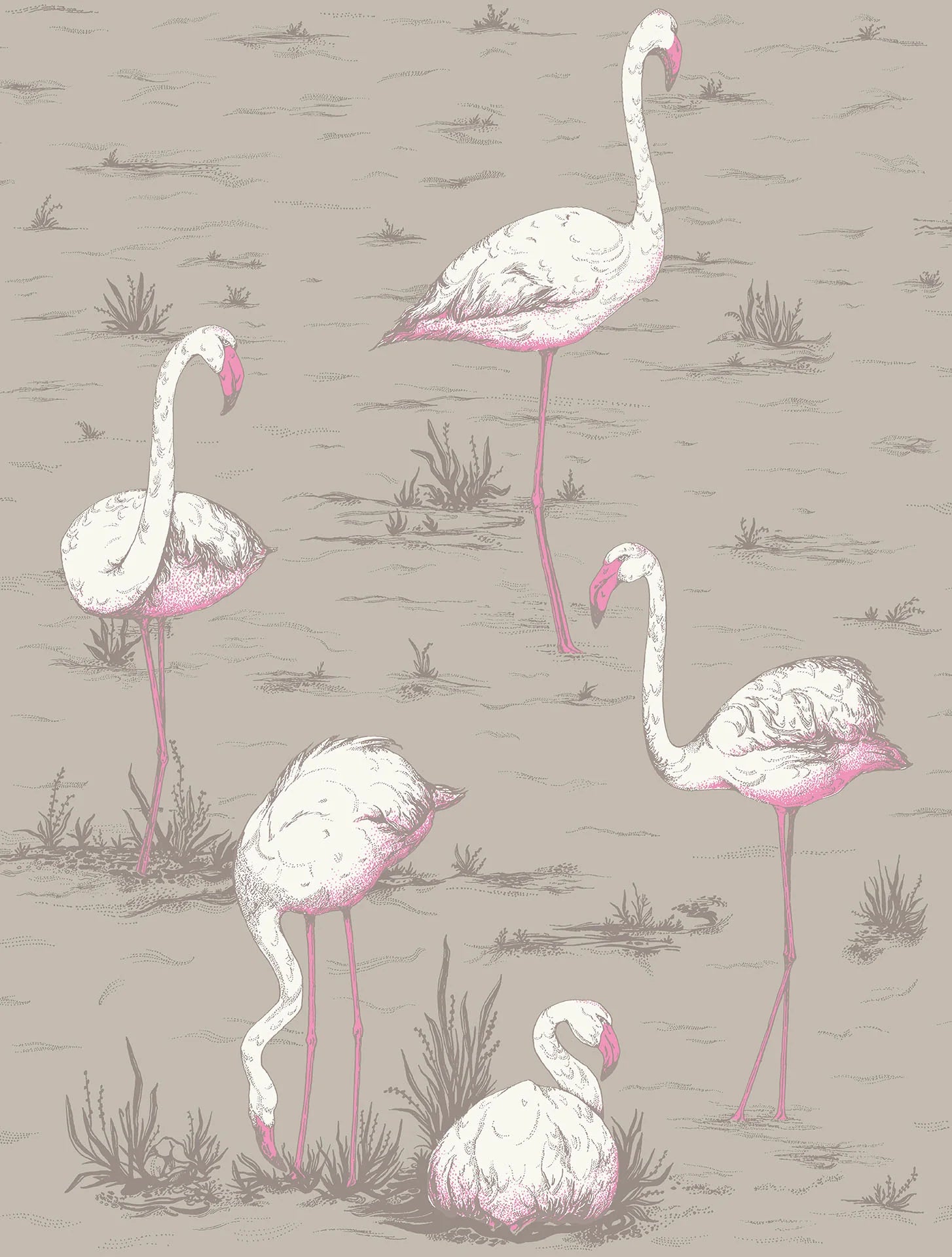 Cole & Son Contemporary Collection, Flamingos, White & Fuchsia on Taupe