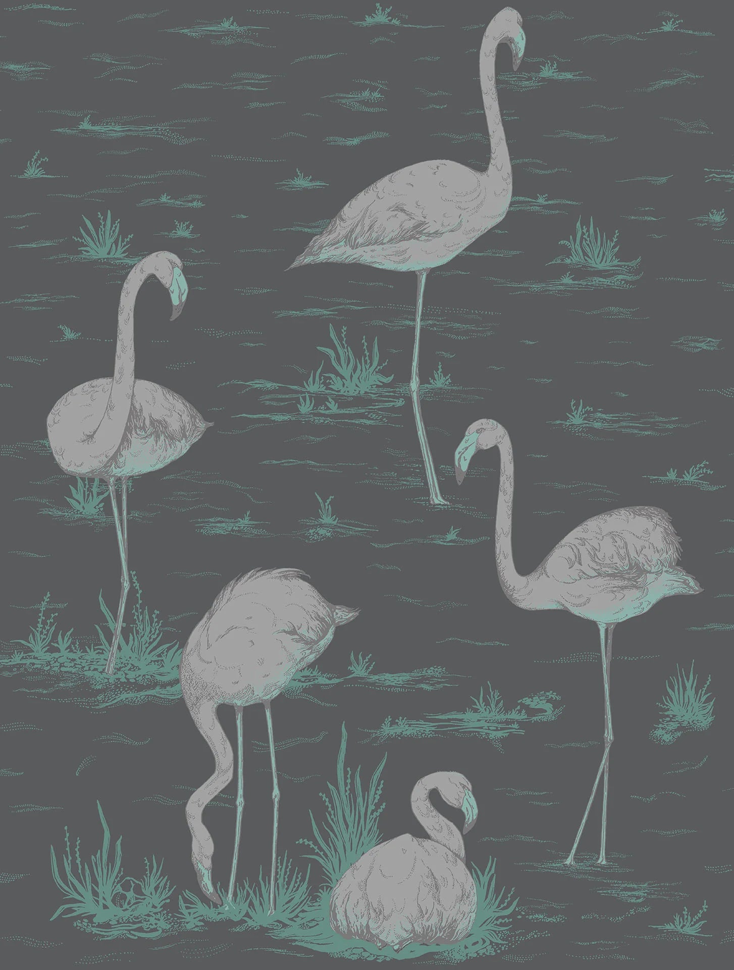 Cole & Son Contemporary Collection, Flamingos, Metallic Silver & Teal on Charcoal
