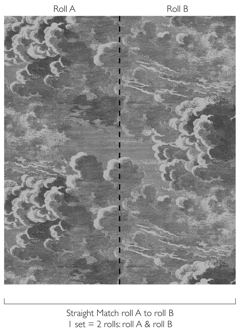 Cole & Son Fornasetti Nuvolette, Soot & Snow