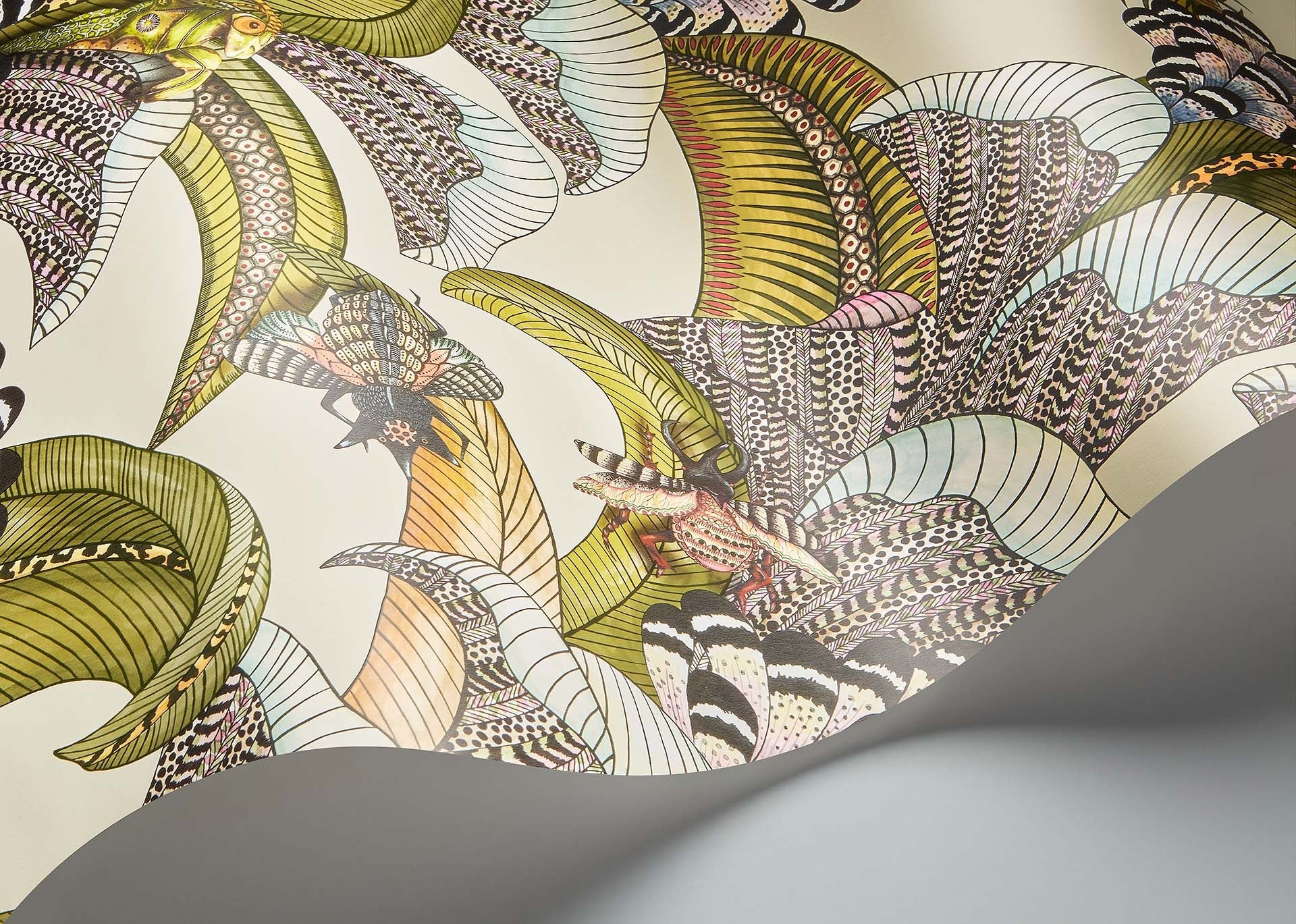 Cole & Son Jabula Hoopoe Leaves, Olive, Chartreuse & Fuchsia on Cream