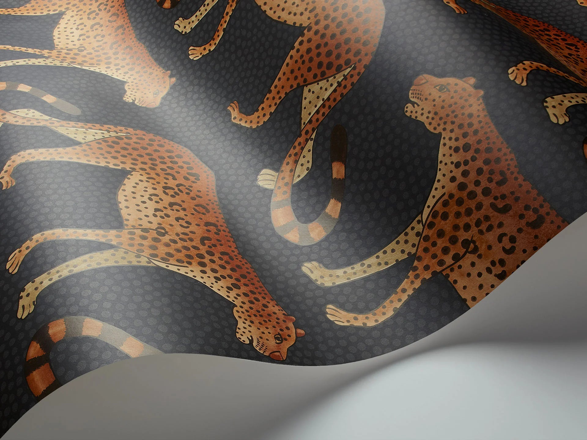 Cole & Son Ardmore Leopard walk, Burnt Orange on Charcoal