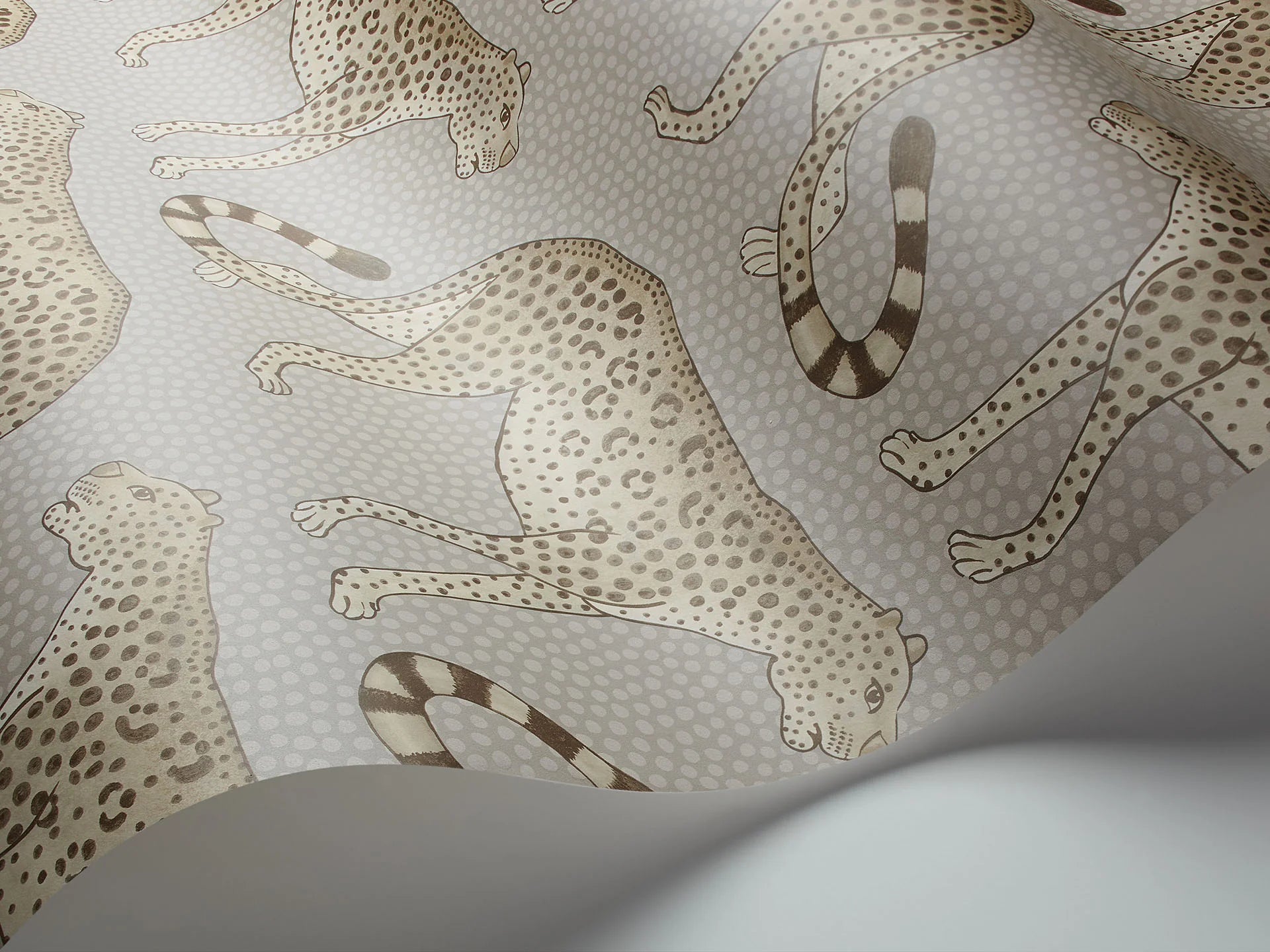 Cole & Son Ardmore Leopard Walk, Safari on Taupe