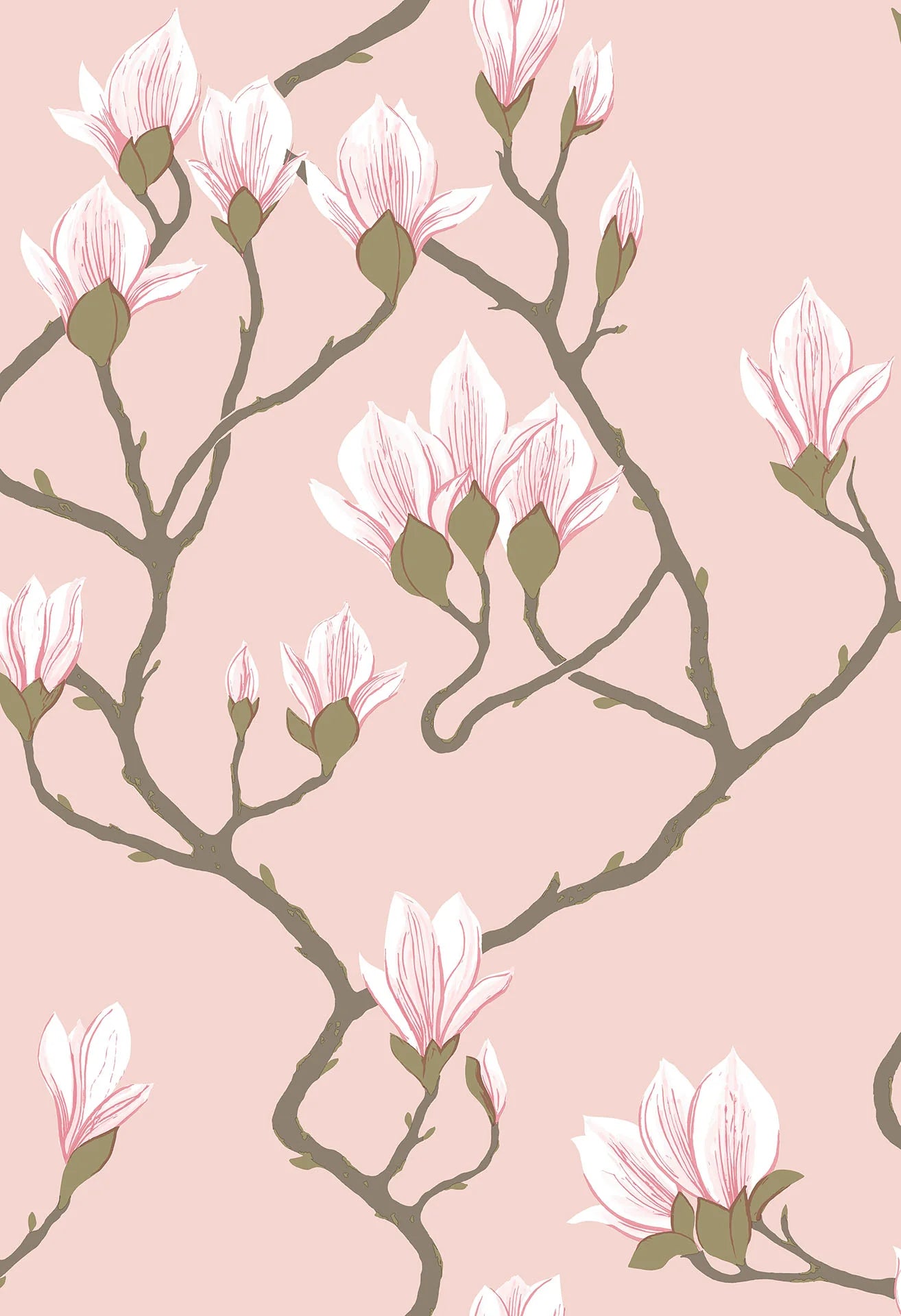 Cole & Son Contemporary Collection, Magnolia, Rose on Blush