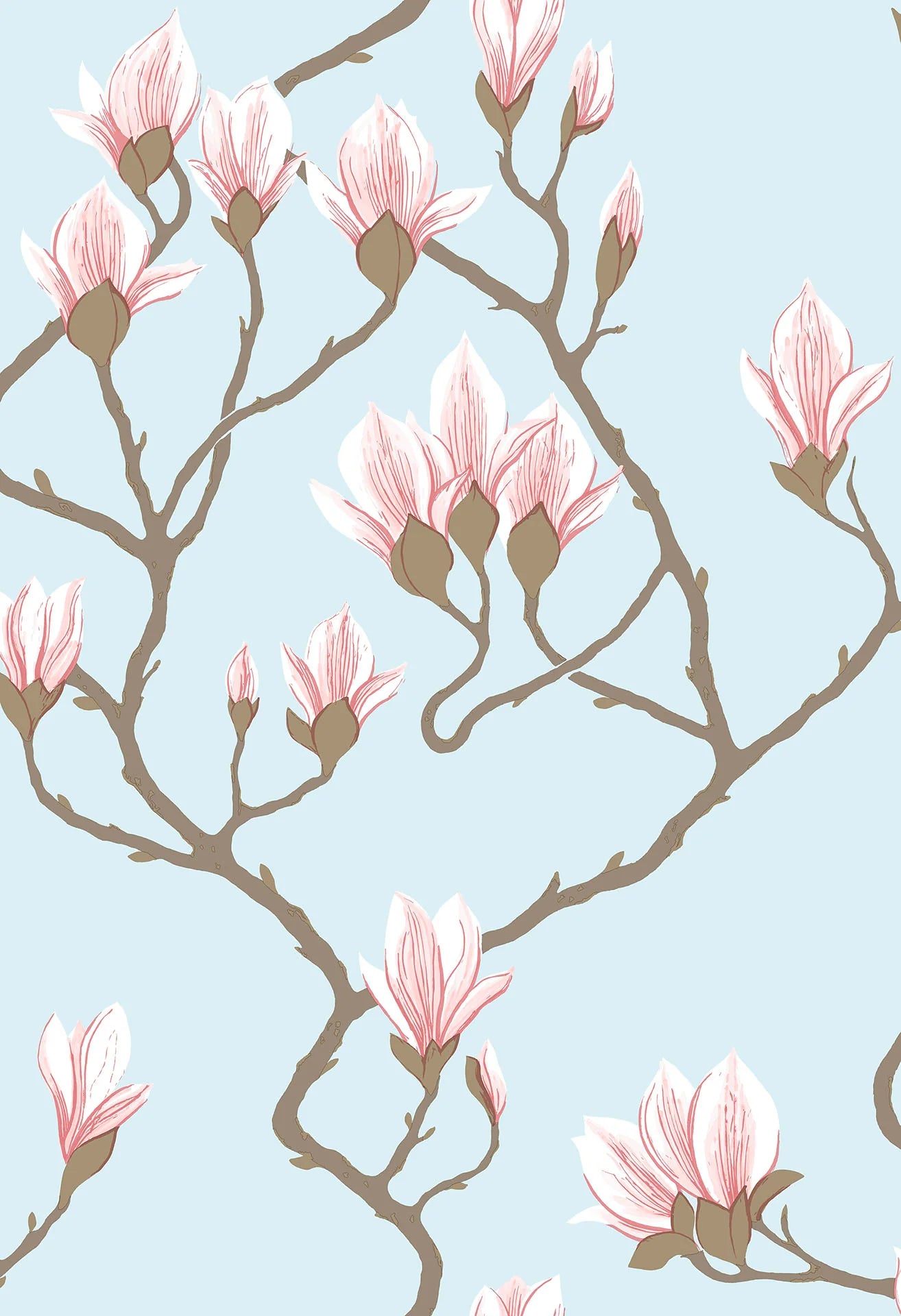 Cole & Son Contemporary Collection, Magnolia, Rose on Sky Blue