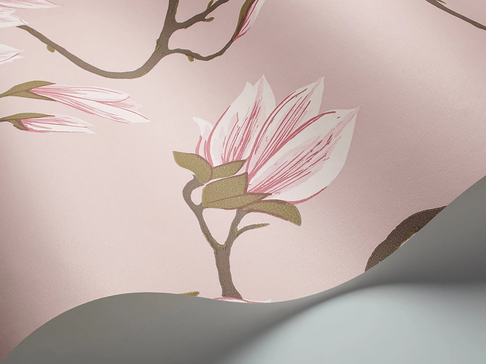 Cole & Son Contemporary Collection, Magnolia, Rose on Blush