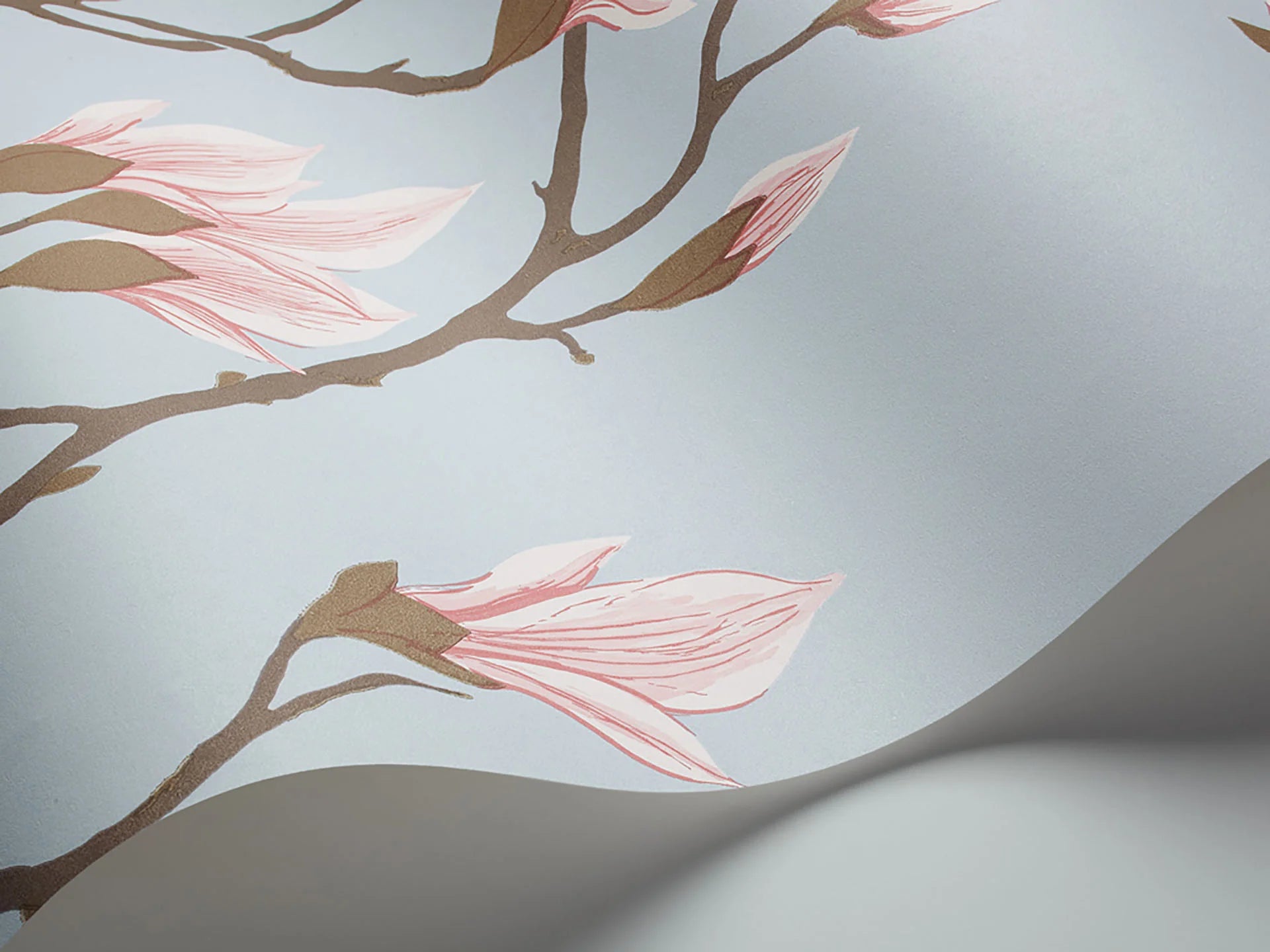 Cole & Son Contemporary Collection, Magnolia, Rose on Sky Blue