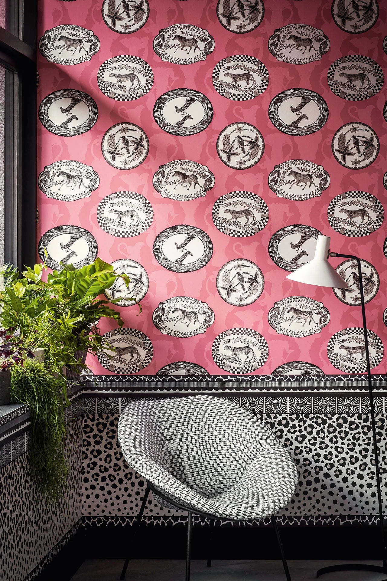 Cole & Son Ardmore Matrinah, Soot & Snow on Fuchsia