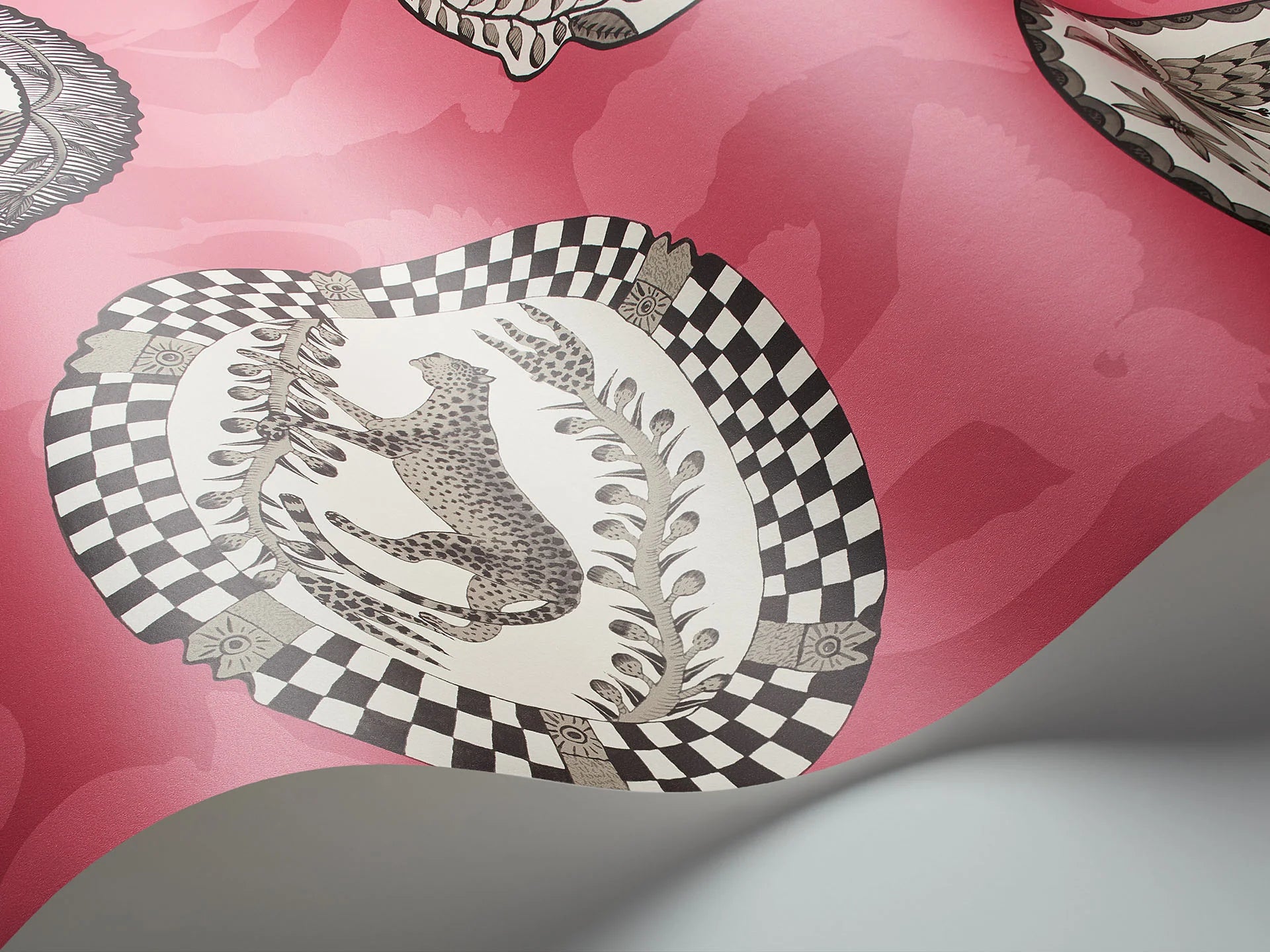 Cole & Son Ardmore Matrinah, Soot & Snow on Fuchsia