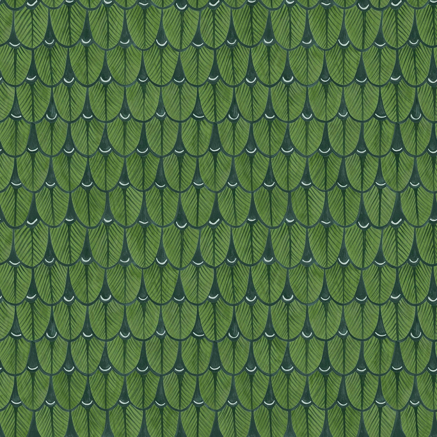 Cole & Son Ardmore Narina, Leaf Green
