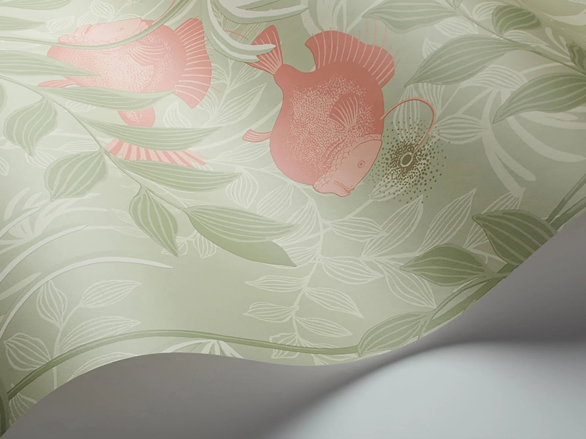 Cole & Son Whimsical Nautilus, Coral and Soft Olive