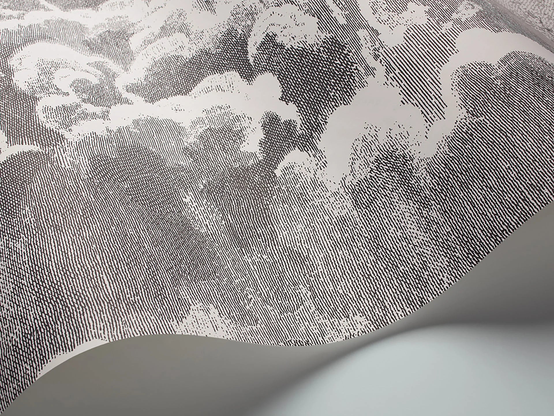 Cole & Son Fornasetti Nuvolette, Black & White