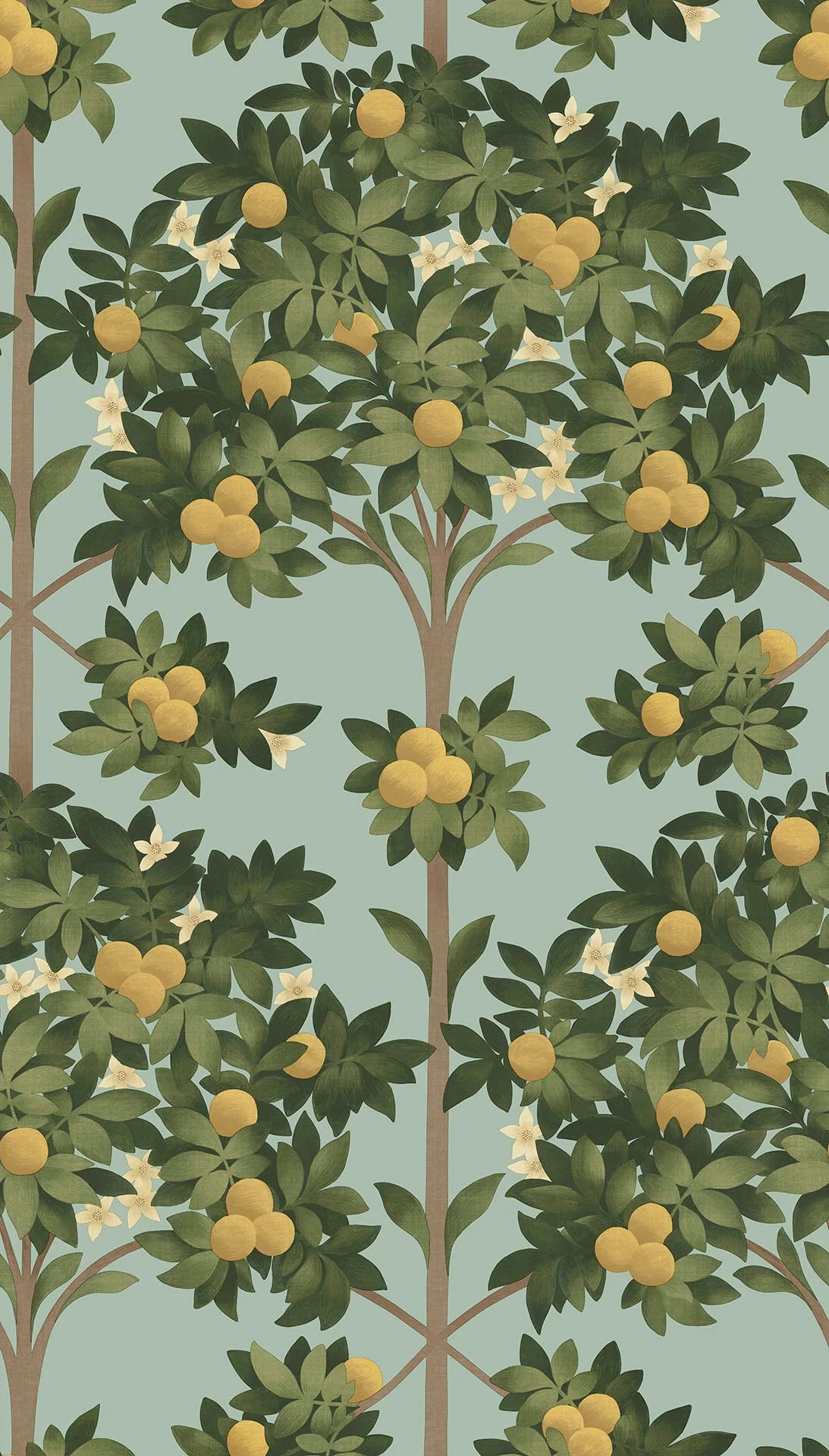 Cole & Son Seville Orange Blossom, Lemon & Dark Olive Green on Duck Egg