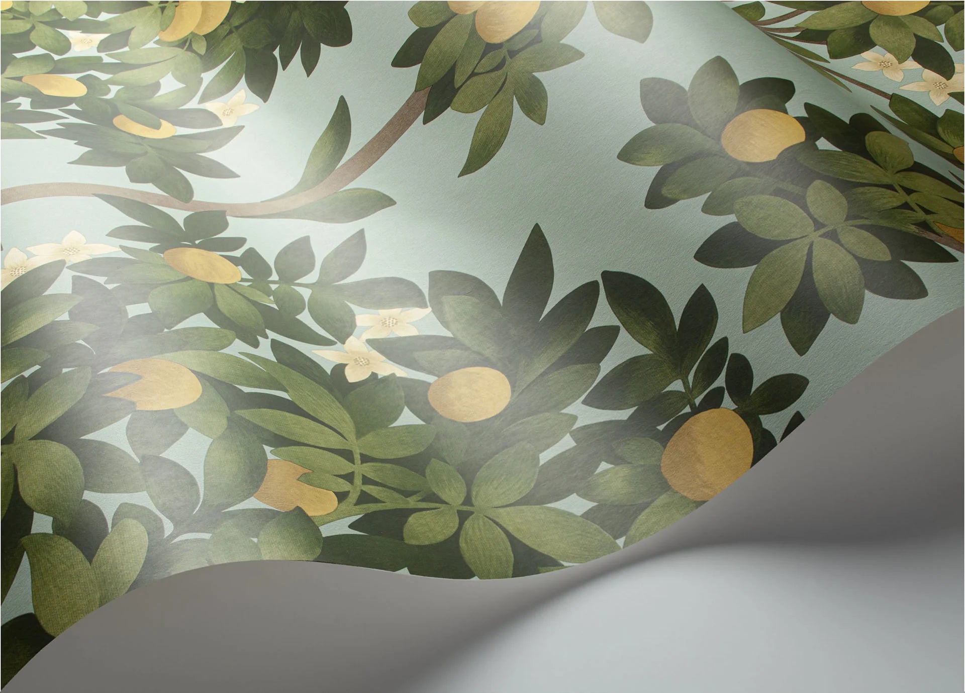 Cole & Son Seville Orange Blossom, Lemon & Dark Olive Green on Duck Egg
