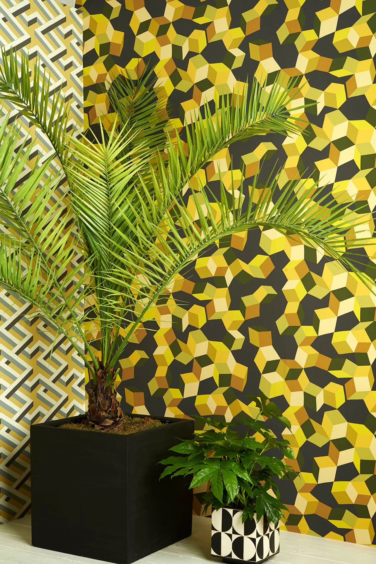 Cole & Son , Geometric II Puzzel Chartreuse on Charcoal